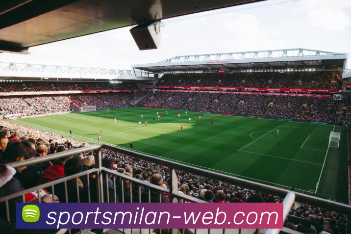 米兰体育APP 封面图